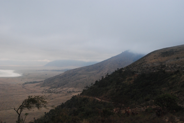 Ngorongoro Vista